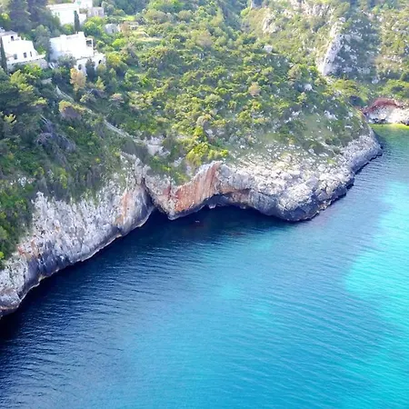 Villa Girasoli Swimming Pool For 6 Guests Nature In The Bay Tricase